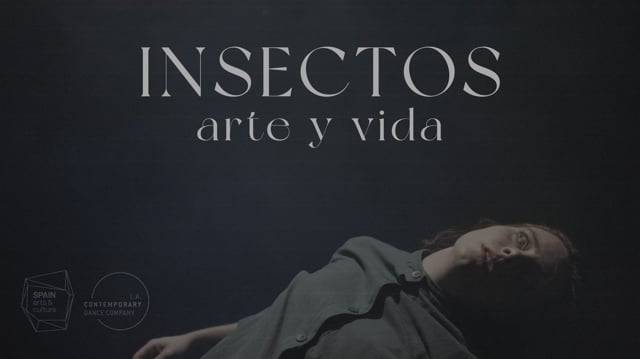 INSECTOS: arte y vida