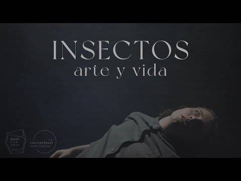 Trailer | INSECTOS: arte y vida | L.A. Contemporary Dance x Elías Aguirre
