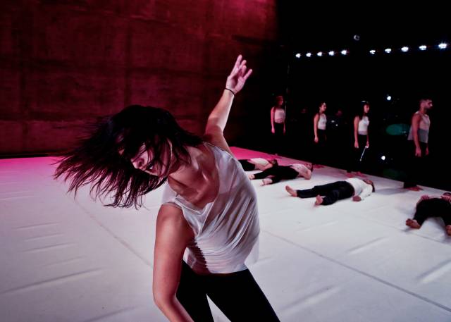 Into the Fray | Taso Papadakis