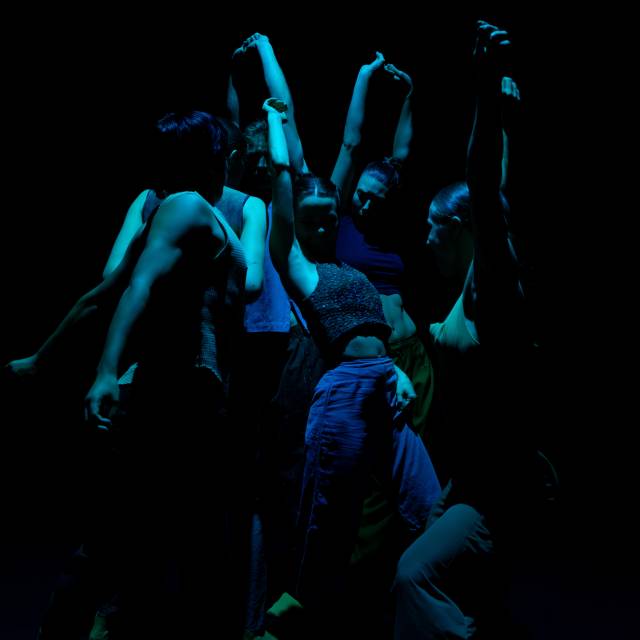 a group of bodies in blue with arms raised and undulating 