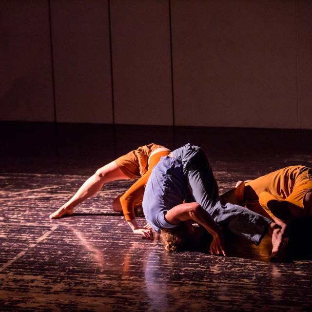 three bodies crawl on the floor