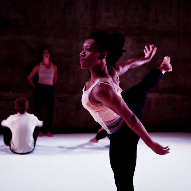 Into the Fray | Taso Papadakis