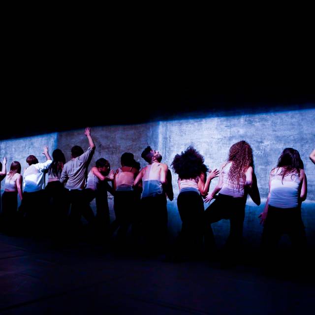 Into the Fray | Taso Papadakis
