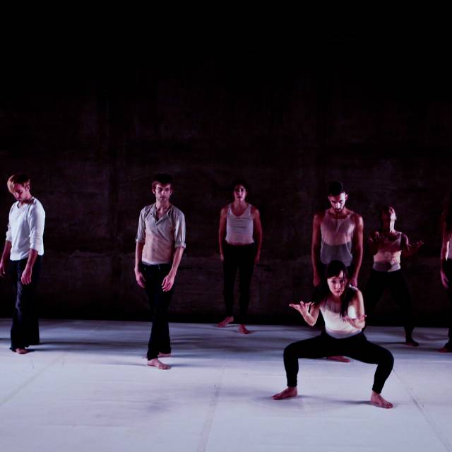 Into the Fray | Taso Papadakis