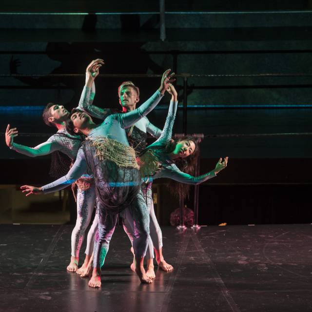 The Princess Sophia | Photo by Michael Penn